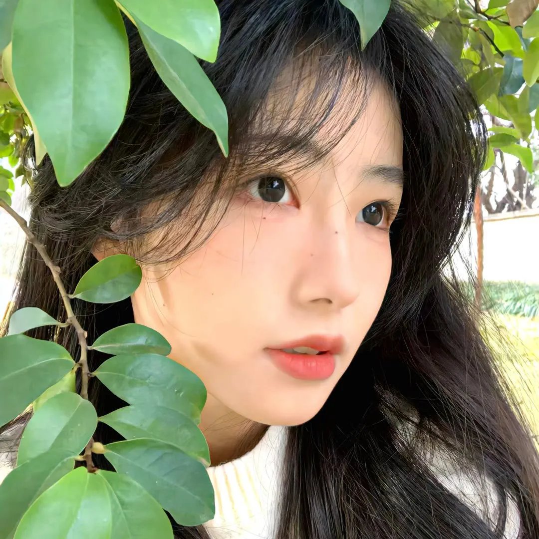 爱的引擎